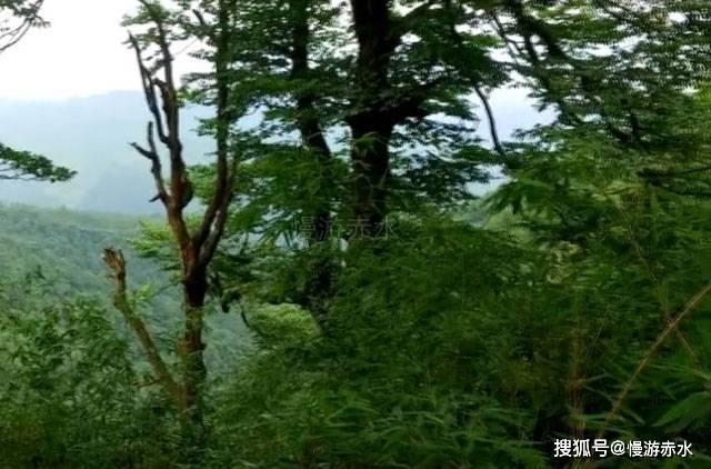 2024年越南国际消防安全与救援设备展览会