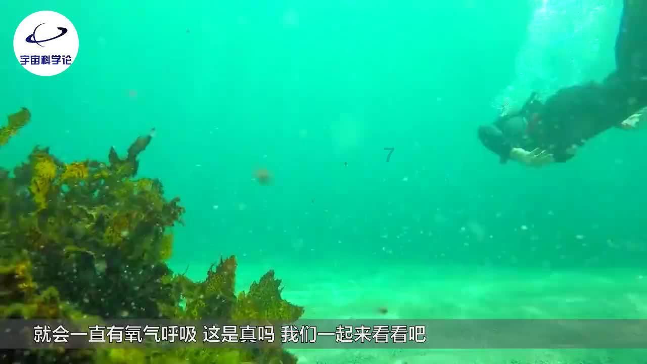家园卡拉克沙漠