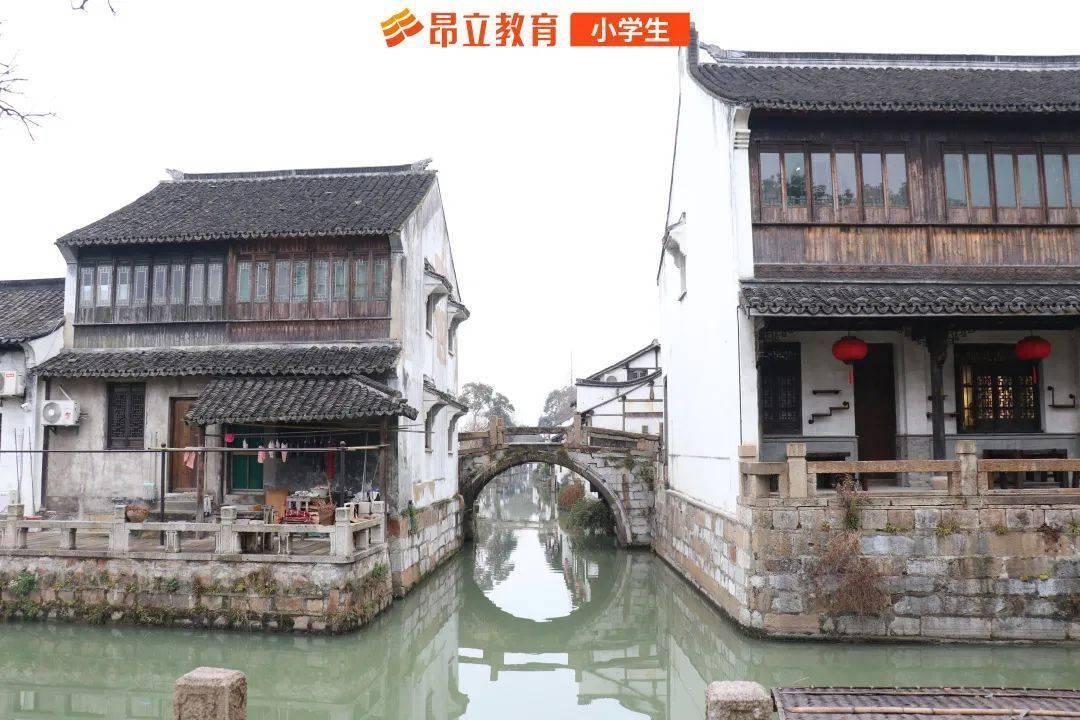 美妙森林找不同